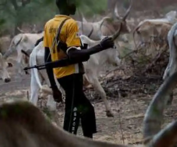 Fulani Herdsmen Raid Kogi Communities, 22Dead, Many More Displaced